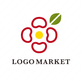 花と豆とモダンのロゴ