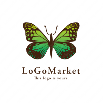 蝶と美と羽のロゴ