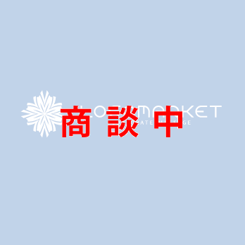 花とシンメトリーと向上のロゴ