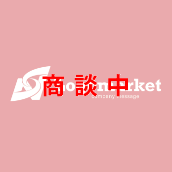 SとNとチームワークのロゴ