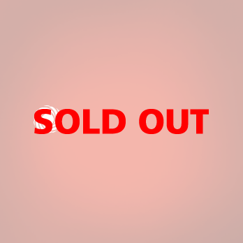 太陽とエネルギーと力強さのロゴ