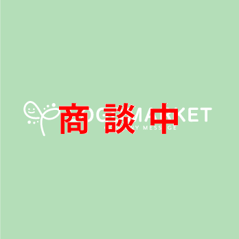 芽と光と水のロゴ
