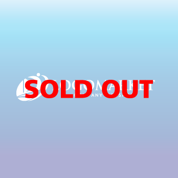 海と船と先進的のロゴ