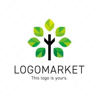 木と広がりと成長のロゴ