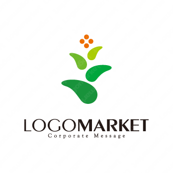 優しいと骨と施術のロゴ