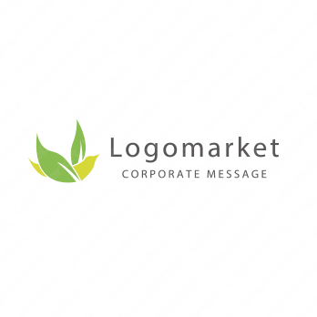 鳥とナチュラルと葉のロゴ