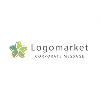 星と葉（リーフ）と自然のロゴ