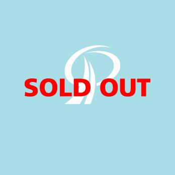 未来と先進性とPのロゴ