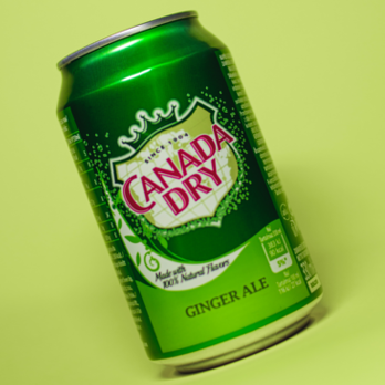【飲料】カナダドライジンジャーエールのロゴマークとロゴ作成の参考になるポイント