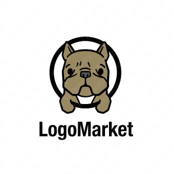 Jmb5 Lce3glxim